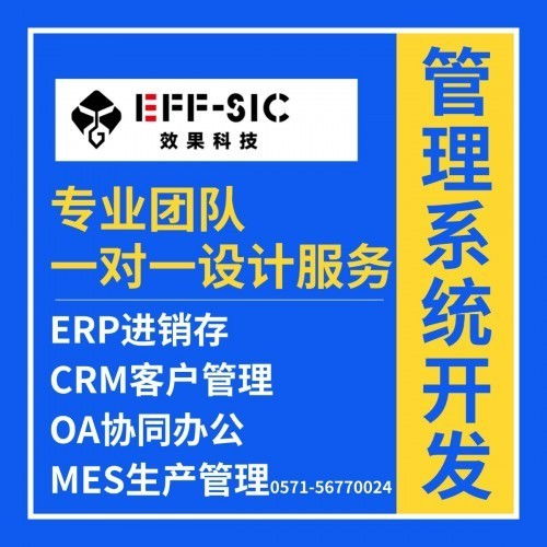 杭州效果科技 打造it行业定制化管理软件,一站式解决管理难题